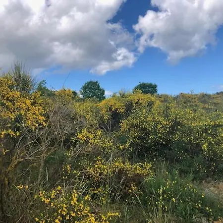 Lägenhet Lavendel 2 *