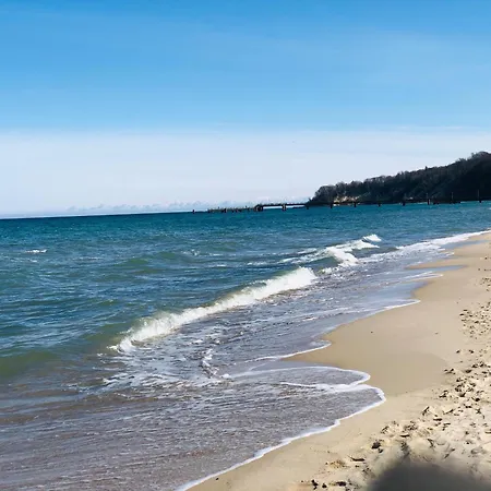 Lavendel 2 * Middelhagen