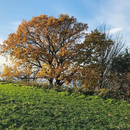Lägenhet Lavendel 2 Middelhagen