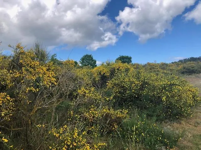 Apartment Lavendel 2 *