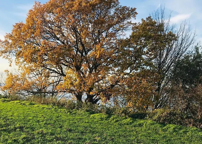 Apartment Lavendel 2 Middelhagen